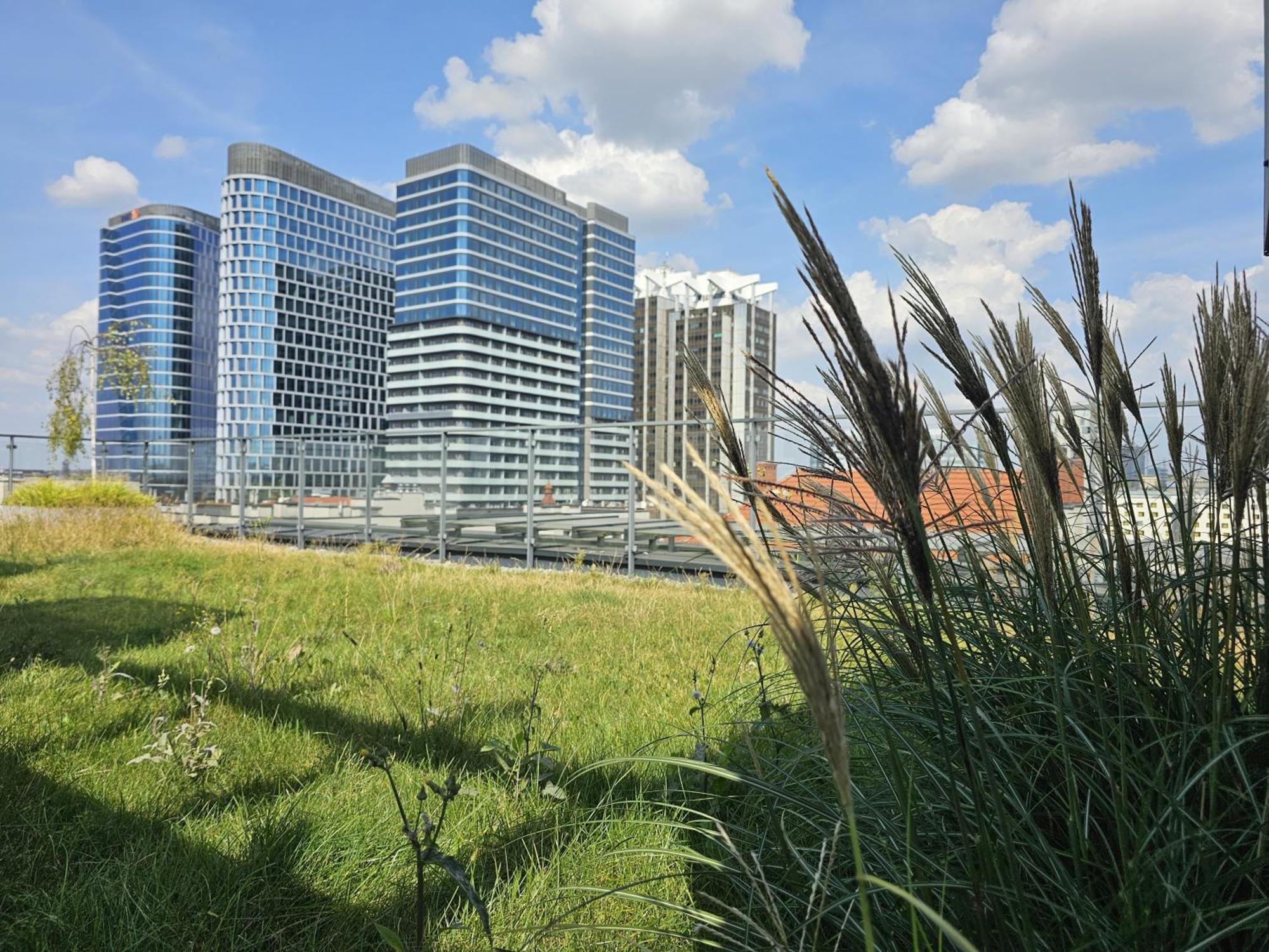 Urban Apartments Premium, Opolska 10 No 67B, Free Garage, Self Check-In Katowice Exteriör bild